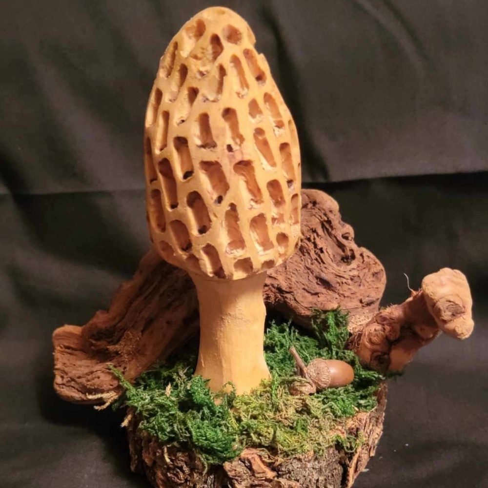 Rustic Morel Mushroom Wood Burned Sculpture